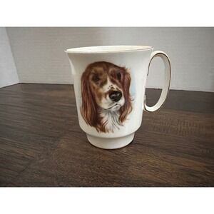 Royal Windsor Springer Spaniel Dog Mug Fine Bone China Gold Trim England #2120